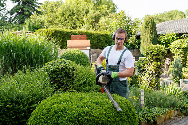 Best Tree Risk Assessment  in Parkersburg, WV